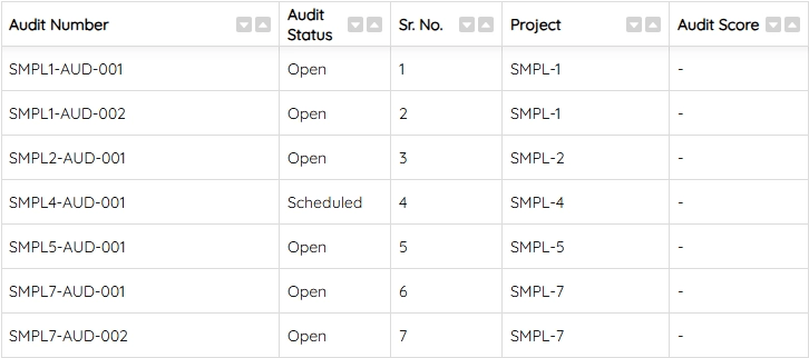 ETHOS audit checklist view displaying inspection items with pass/fail status indicators